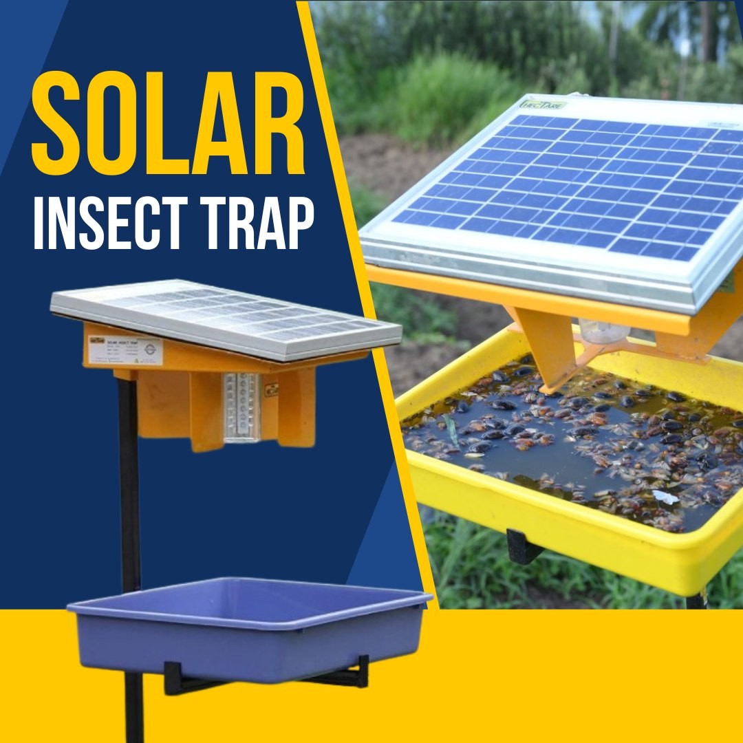 Solar Insect Trap For Agriculture - Mini Solar Insect killer 10W UV Light